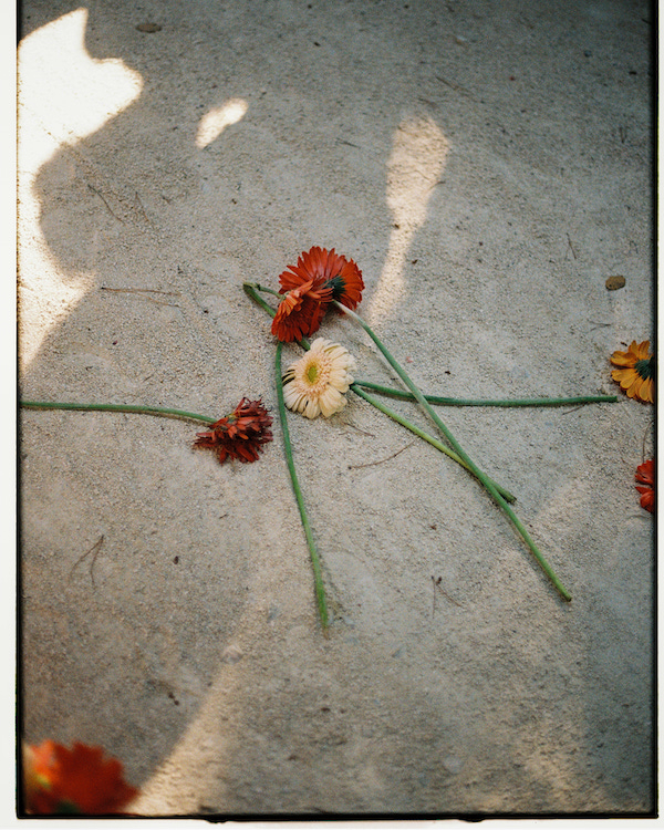 An Intimate Wedding in the Portuguese Countryside