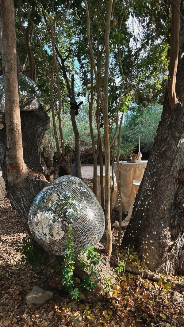 Content Creators Ever After