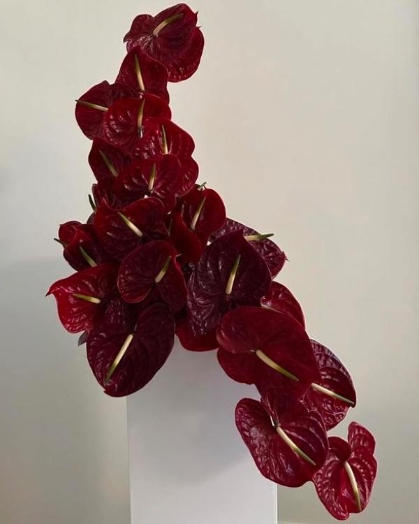 10 Flower Varieties Trending for 2025 Weddings