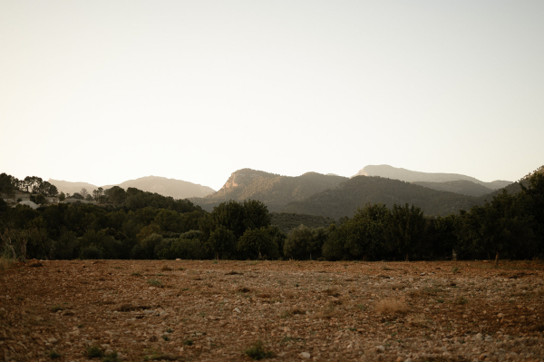 Venues Finca Morneta