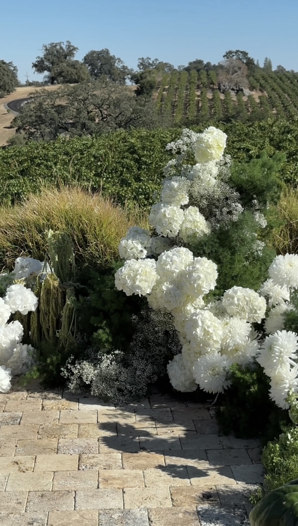 Content Creators Ce Jour Creations