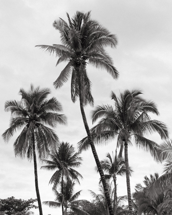 A Dual-Ceremony Wedding Weekend Where Indian Tradition Meets the Spirit of Hawaii