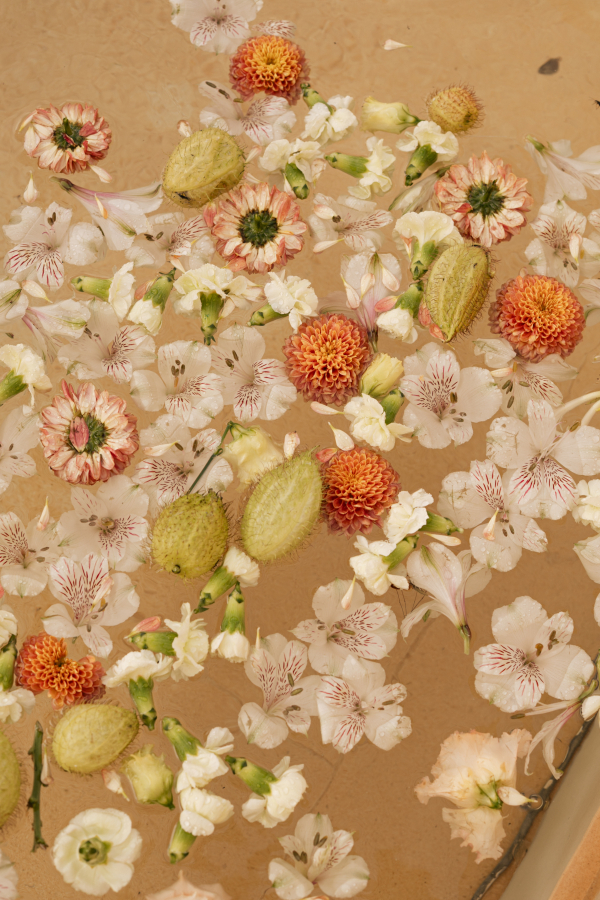 Planners Limbela Studio