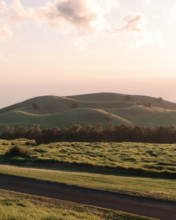 A Dual-Ceremony Wedding Weekend Where Indian Tradition Meets the Spirit of Hawaii