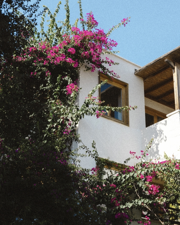 A Romantic and Sunlit Waterfront Wedding Weekend in Bodrum