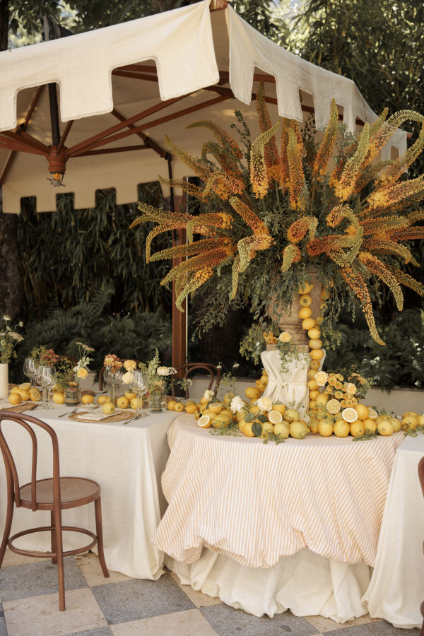 Planners Limbela Studio