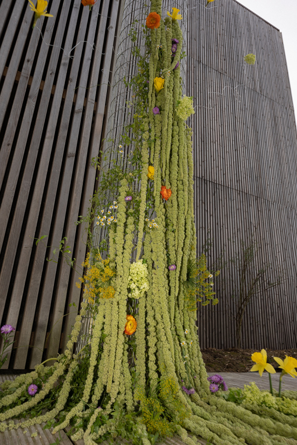Photographers The Vernacular