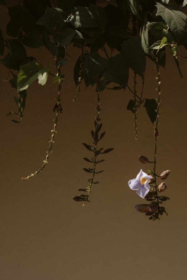 Photographers Dos Mas En La Mesa