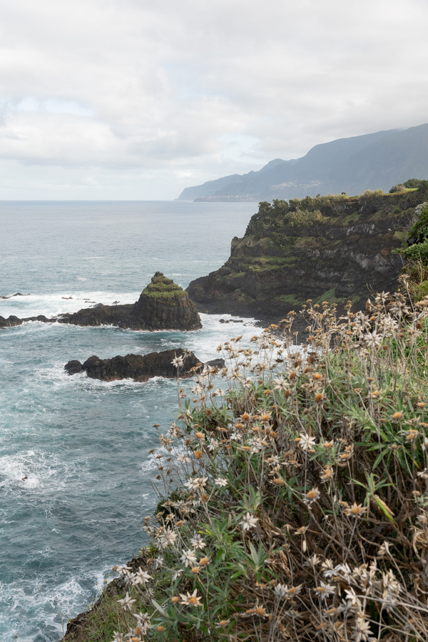 Photographers The Vernacular