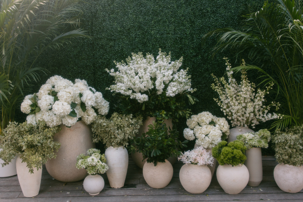 Photographers Gypsy Lemon