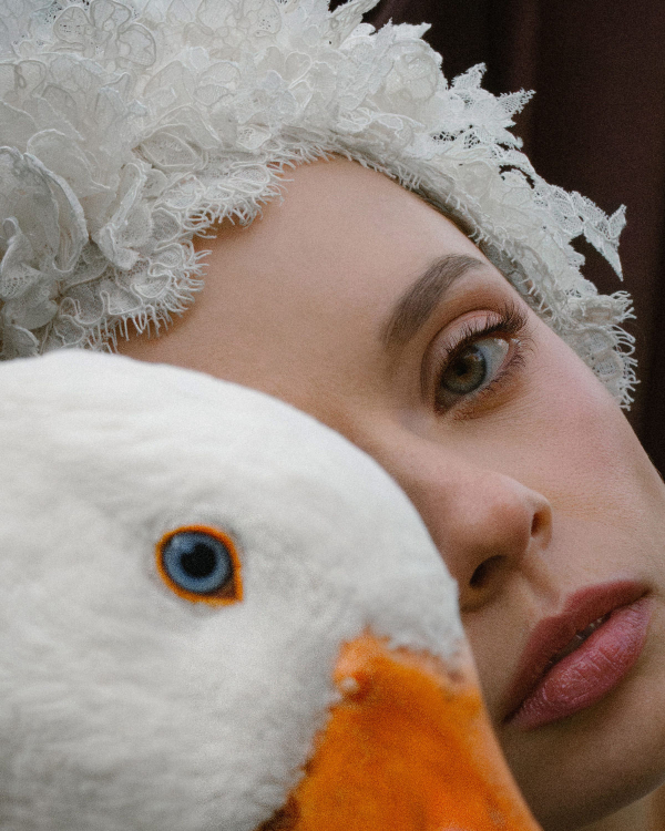 Of Roots and Feathers