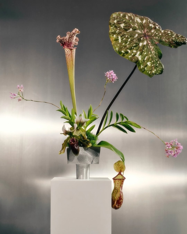 10 Flower Varieties Trending for 2026 Weddings