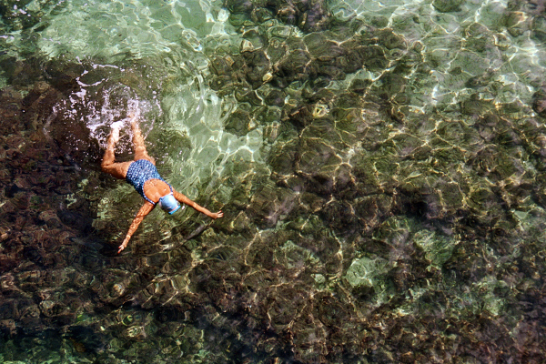 Photographers The Vernacular