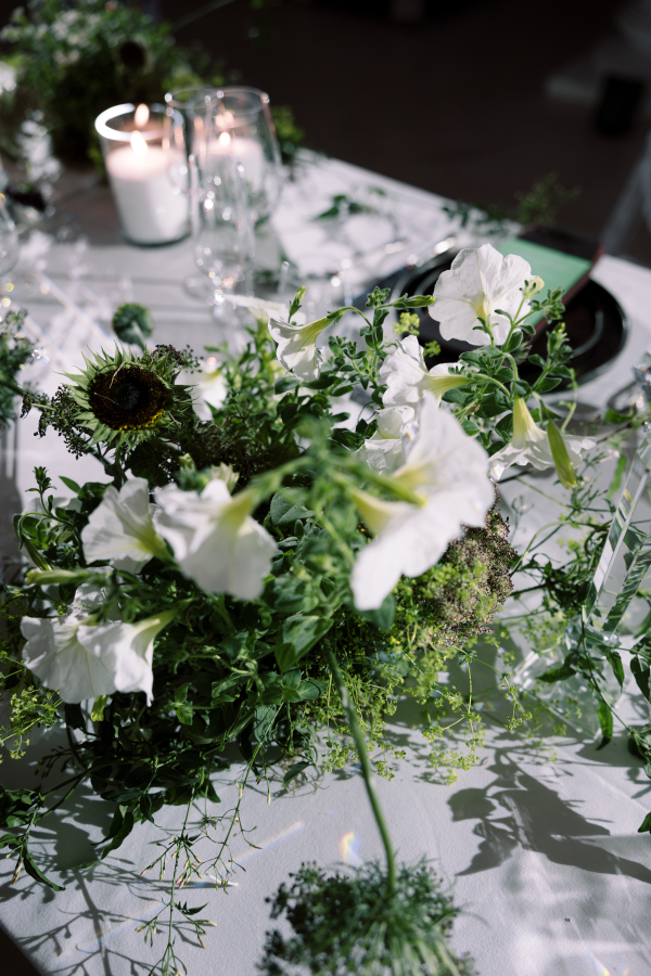 Planners Limbela Studio