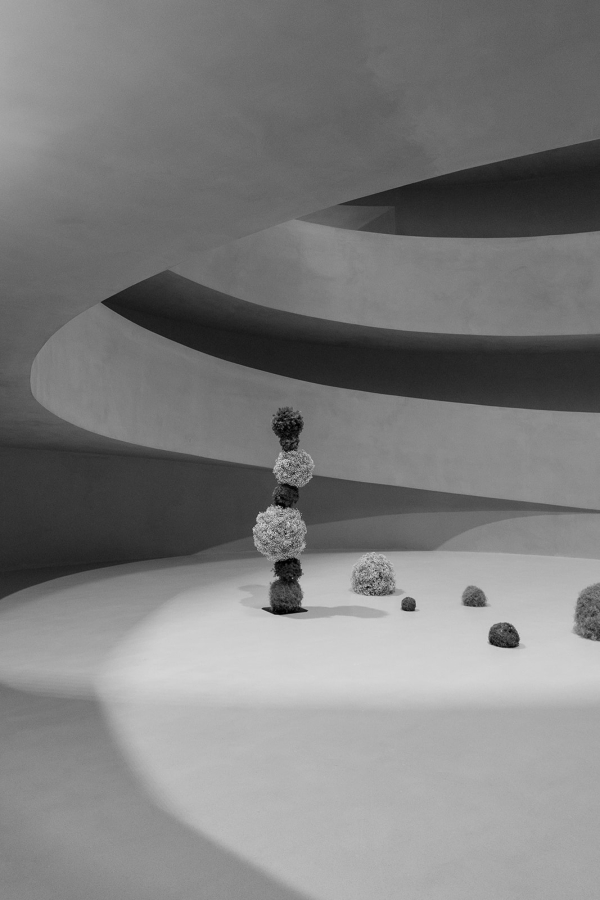 Photographers The Vernacular