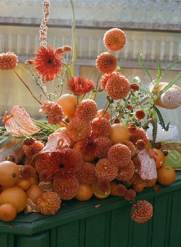 Photographers Nikki Strekowski