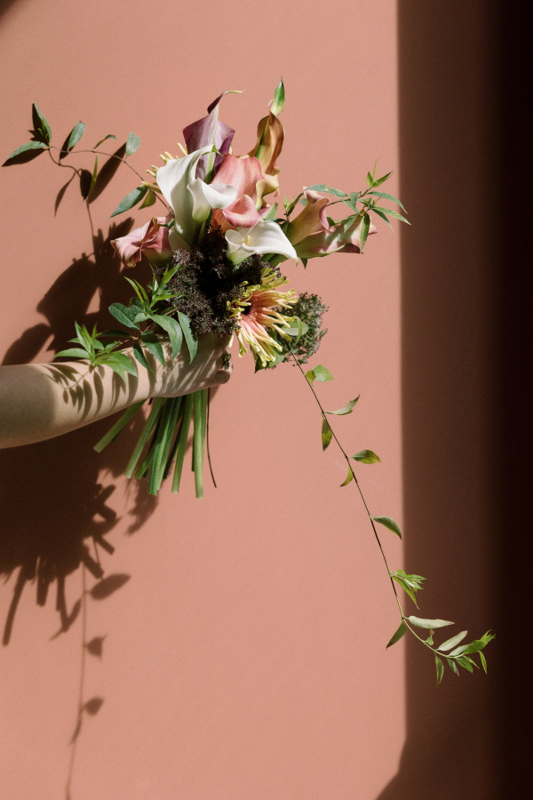 Planners Limbela Studio