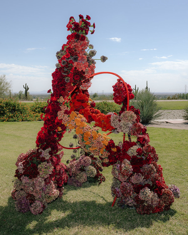 Scarlet and Clean Lines