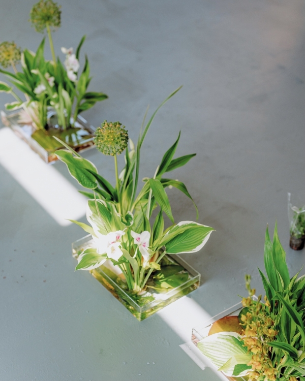 «There’s Never a Set Formula at Blooming