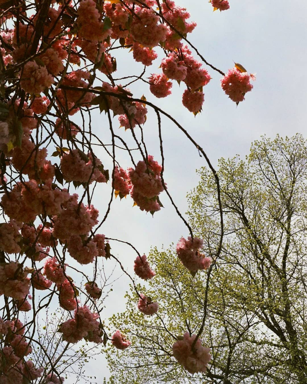 West Coast Art Events of 2022