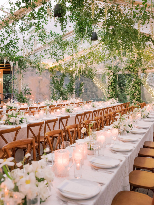 Planners Wild Sky Events