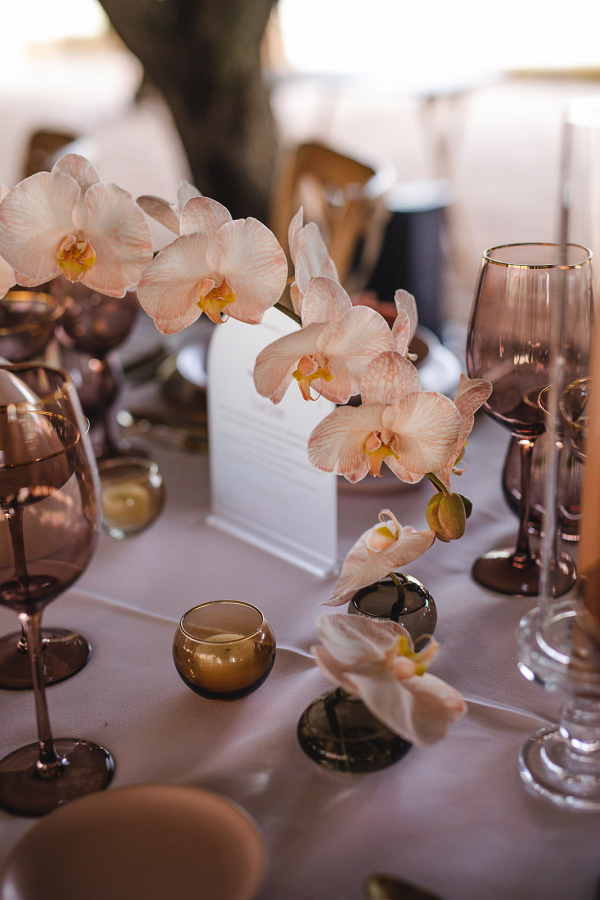 Planners Stress & Success