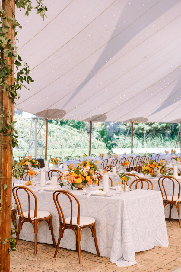 Planners Wild Sky Events