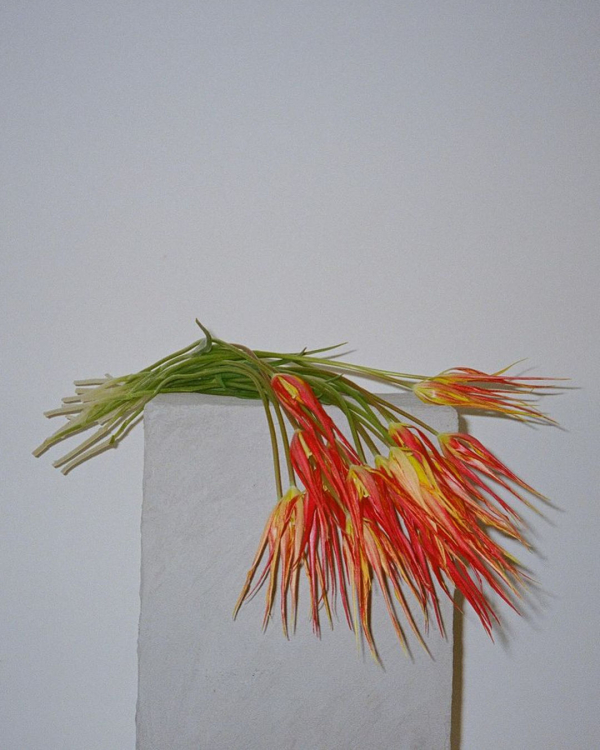 Trend: Artistic Arrangements