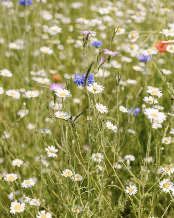 Real Wedding: Imogen & James