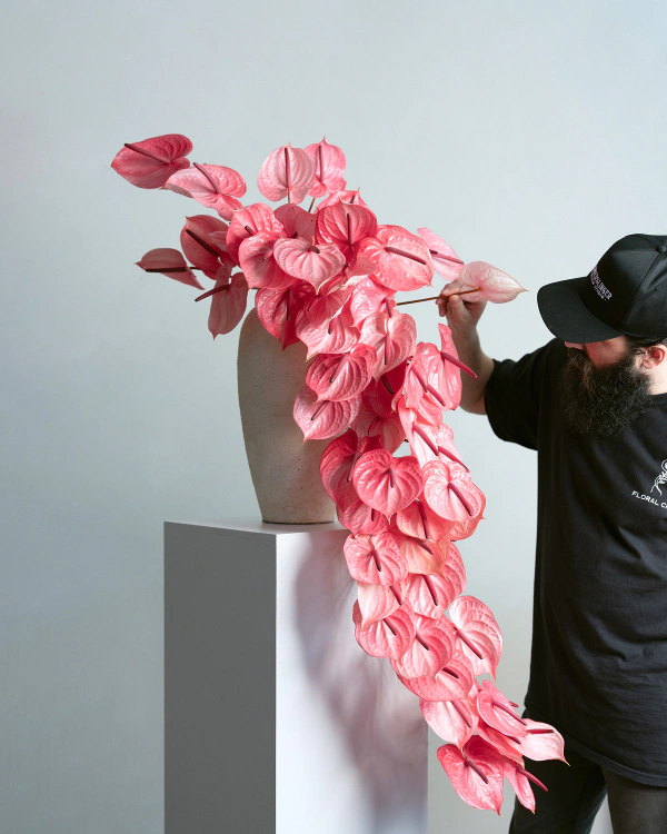 Behind the Scenes: The Flowerslinger — photo 2