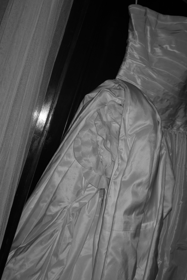 Content Creators Sarah Davoli Studio