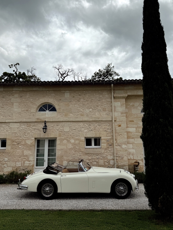 Content Creators Content for Brides