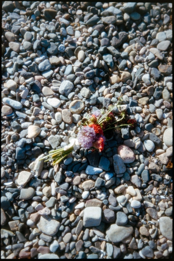 Photographers Catalina Juger Studio