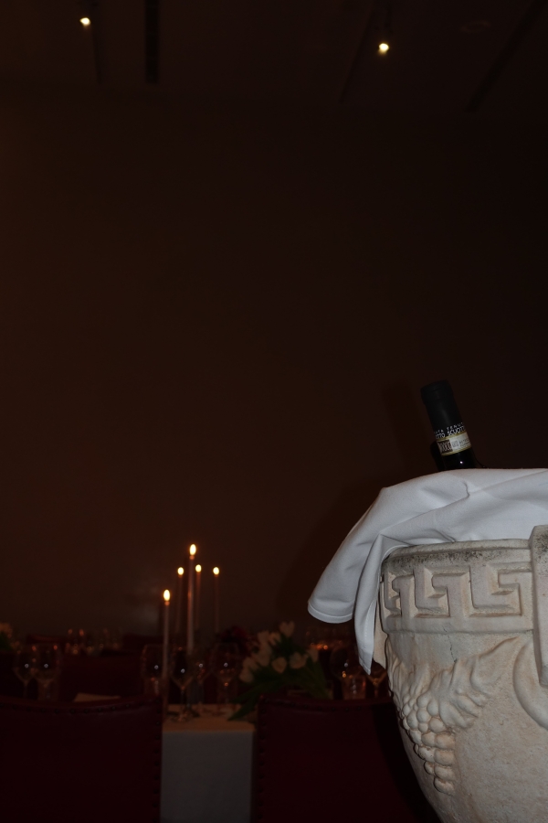 Content Creators Sarah Davoli Studio