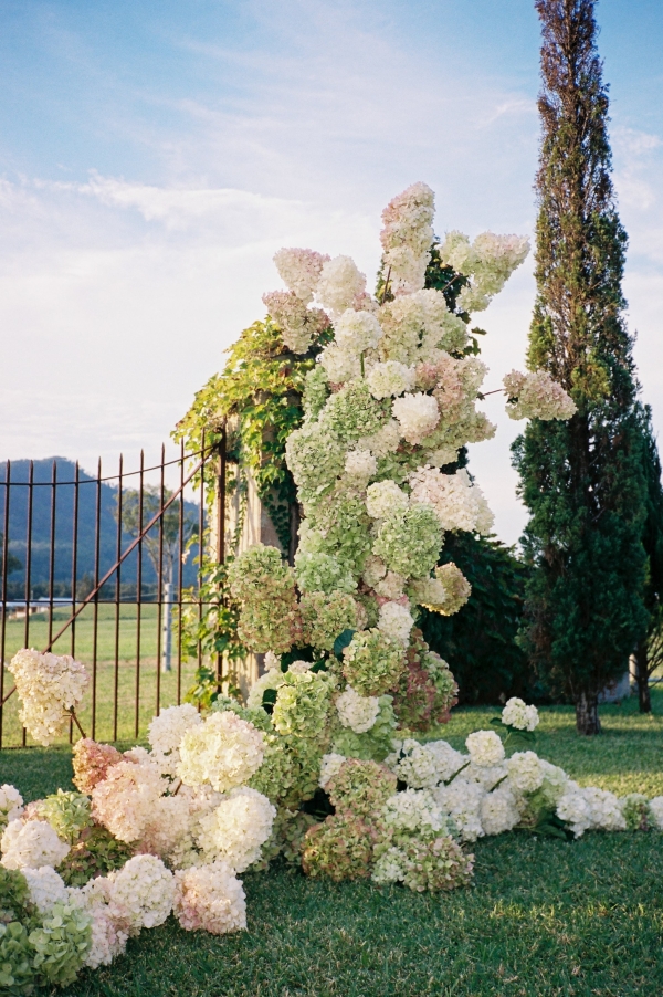 Photographers Sarbo Studio