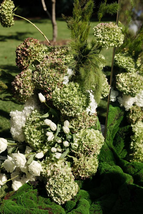 Photographers Stacey McLean