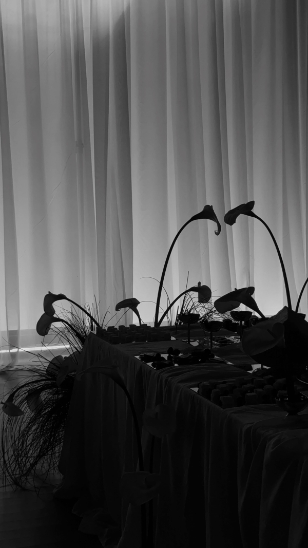 Content Creators Content for Brides