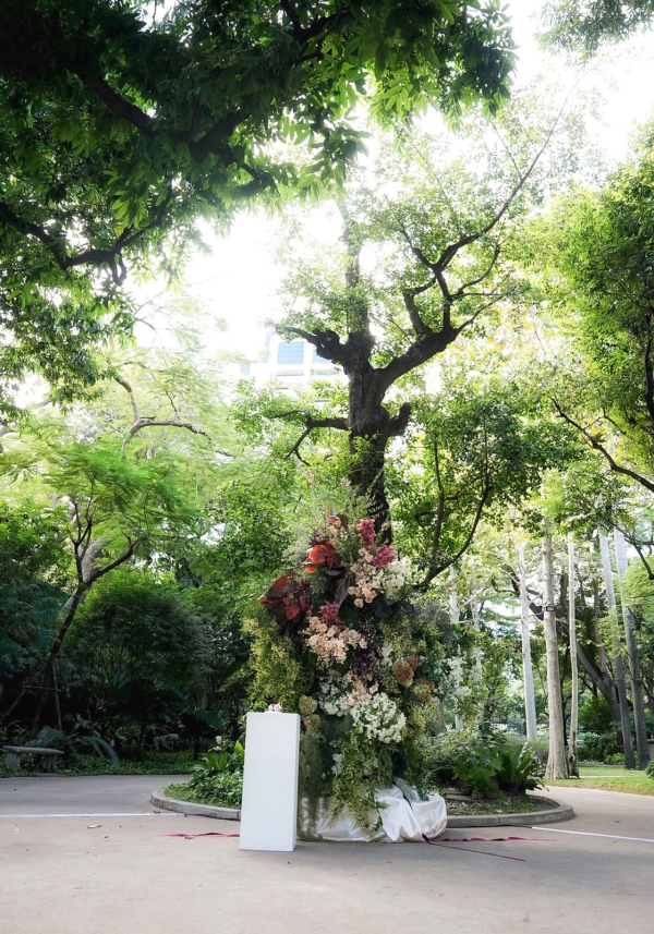 Photographers Veo Media