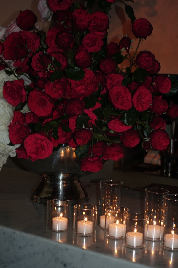 Content Creators Sarah Davoli Studio