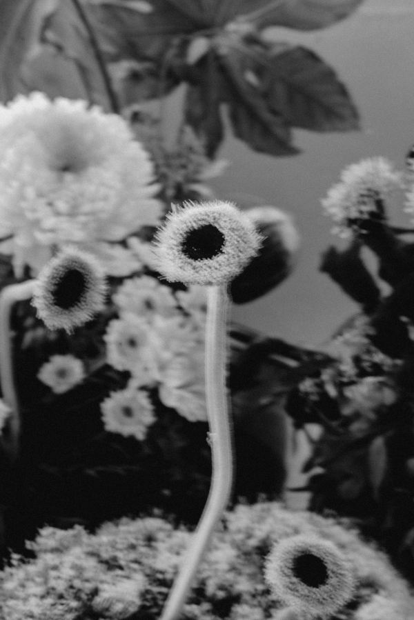 Photographers Catalina Juger Studio