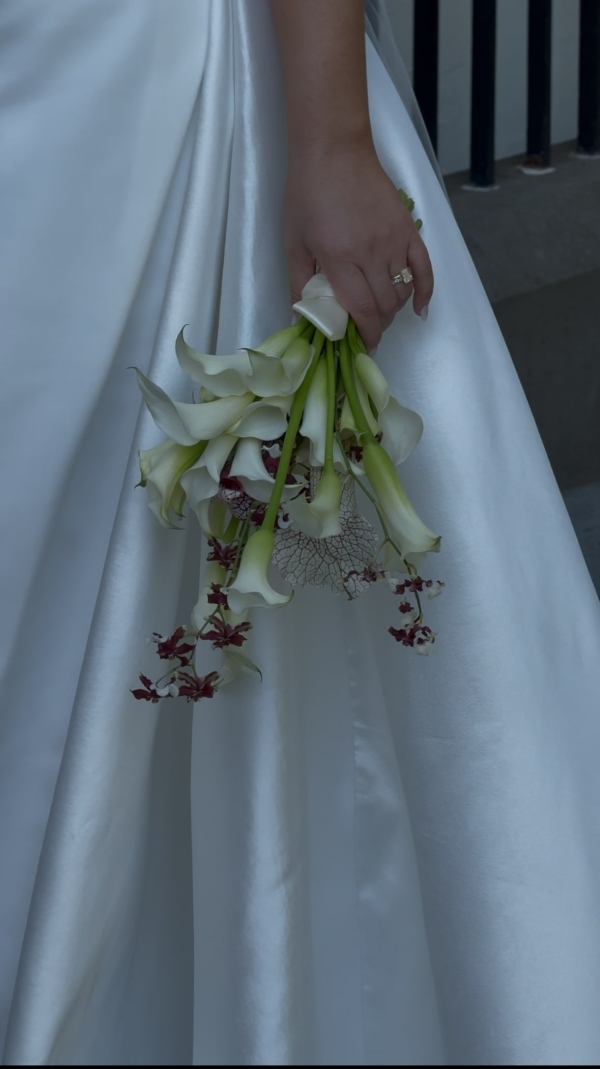 Content Creators Sarah Davoli Studio