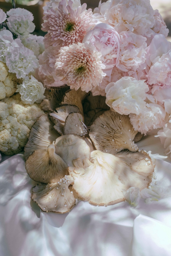 Photographers Catalina Juger Studio