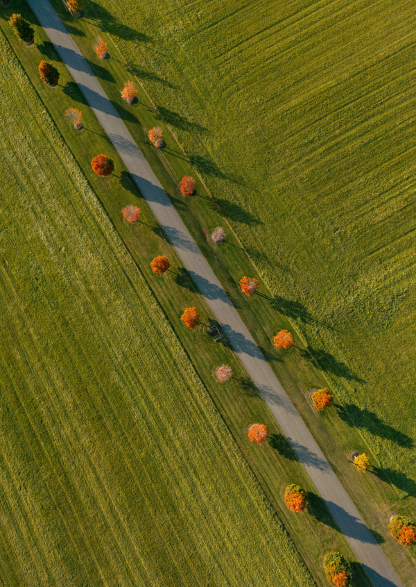 Photographers Austin Trenholm