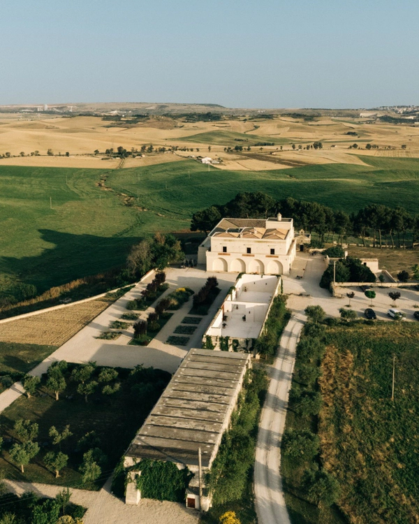 <a href="https://www.instagram.com/masseriafontanadivite/p/DNfZT26Ml9A/?hl=it">Masseria Fontana di Vite</a>, Photography: Danilo Giungato