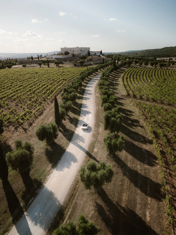 <a href="https://www.instagram.com/amastuola/">Masseria Amastuola</a>, Photography: <a href="https://www.instagram.com/kimcapteinphotography_/">Kim Captein</a>