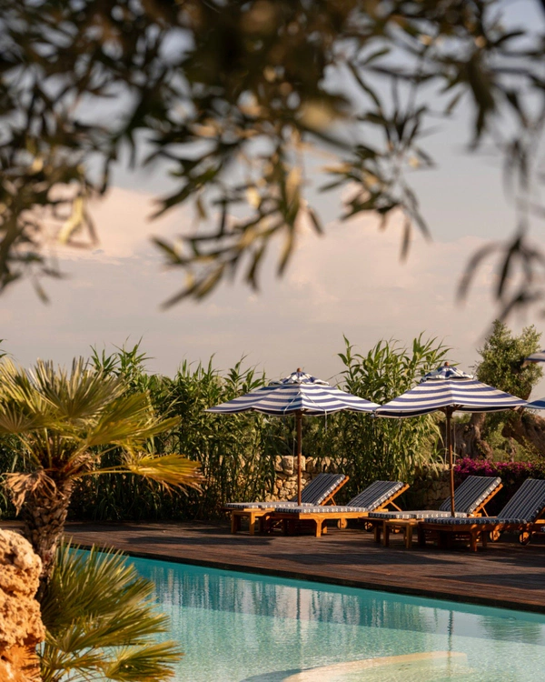 <a href="https://www.instagram.com/masseriatorrecoccaro/p/DbLnoYDDVV9/?img_index=2">Masseria Torre Coccaro</a>