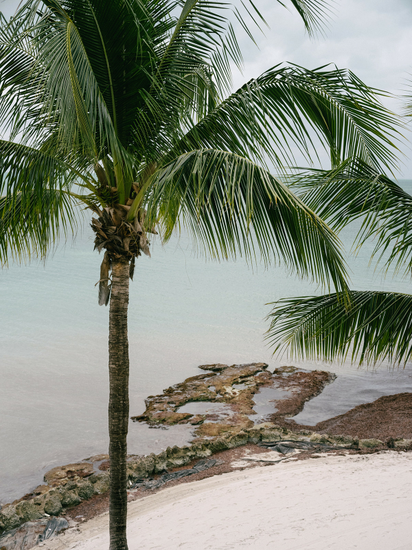 Wedding by the Ocean