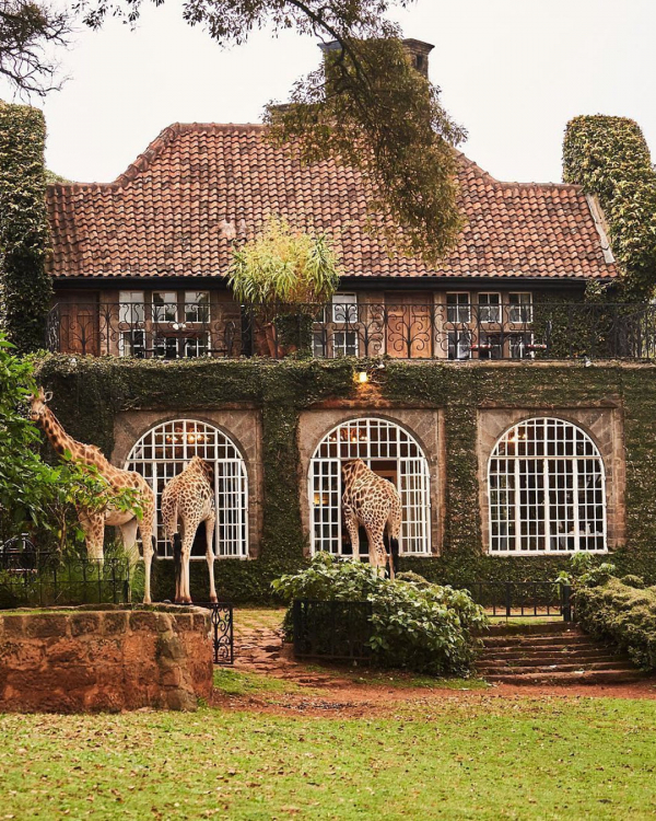 7 Best Honeymoon Resorts in the World | Top of the Most Luxurious Hotels