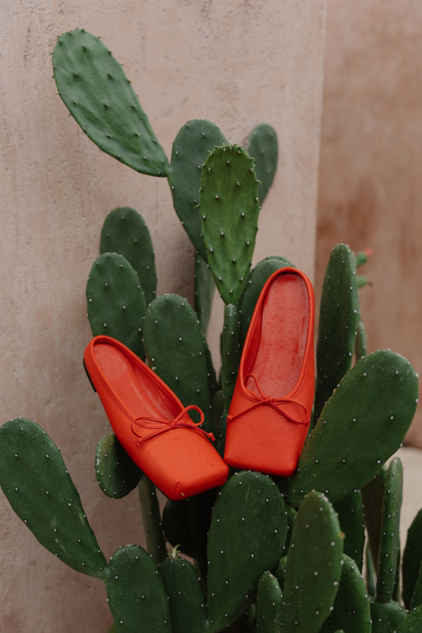 Moments of Romance in Bali