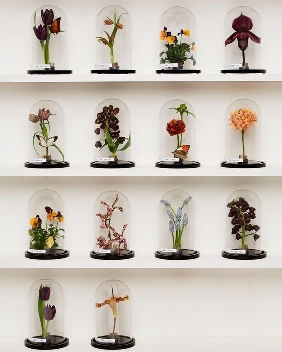 50 Unique Seating Chart Ideas